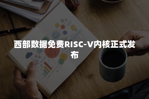 西部数据免费RISC-V内核正式发布