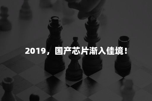 2019，国产芯片渐入佳境！