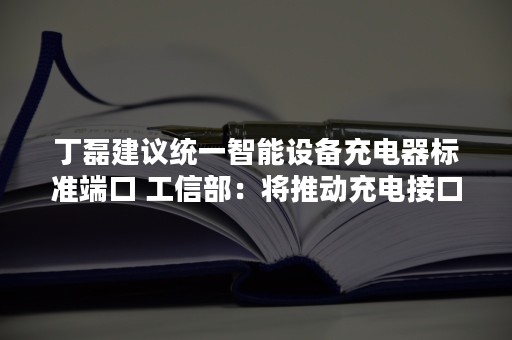 丁磊建议统一智能设备充电器标准端口 工信部：将推动充电接口及技术融合统一