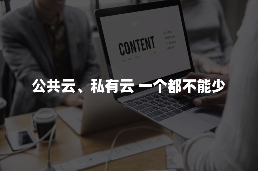 公共云、私有云 一个都不能少