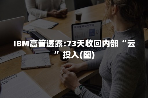 IBM高管透露:73天收回内部“云”投入(图)