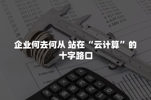 企业何去何从 站在“云计算”的十字路口