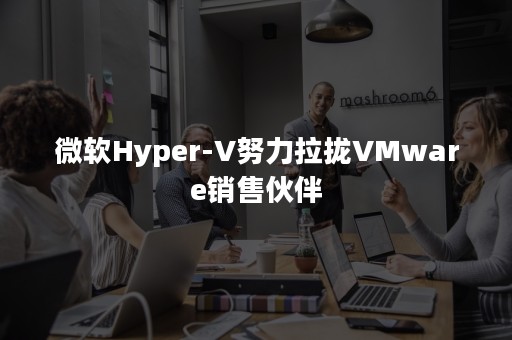 微软Hyper-V努力拉拢VMware销售伙伴