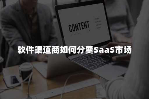 软件渠道商如何分羹SaaS市场