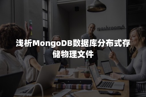 浅析MongoDB数据库分布式存储物理文件