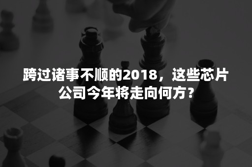 跨过诸事不顺的2018，这些芯片公司今年将走向何方？