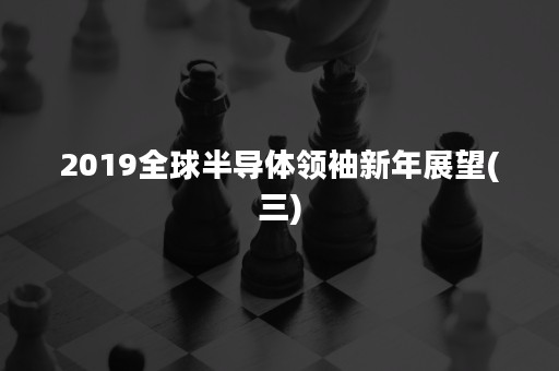 2019全球半导体领袖新年展望(三)