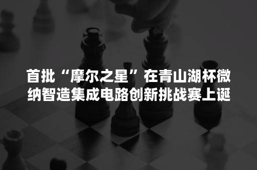 首批“摩尔之星”在青山湖杯微纳智造集成电路创新挑战赛上诞生！