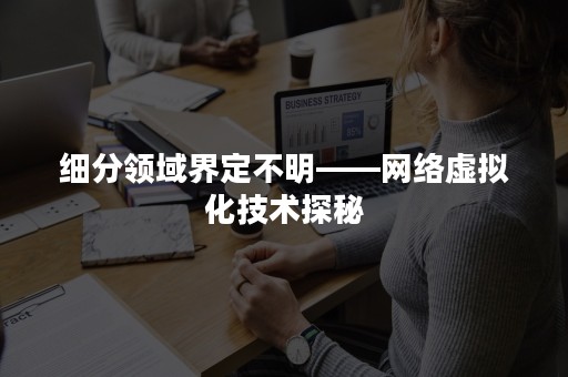 细分领域界定不明——网络虚拟化技术探秘