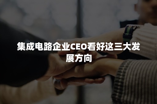 集成电路企业CEO看好这三大发展方向