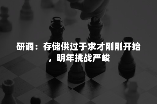 研调：存储供过于求才刚刚开始，明年挑战严峻