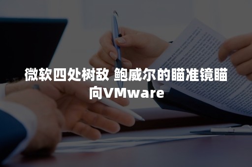 微软四处树敌 鲍威尔的瞄准镜瞄向VMware