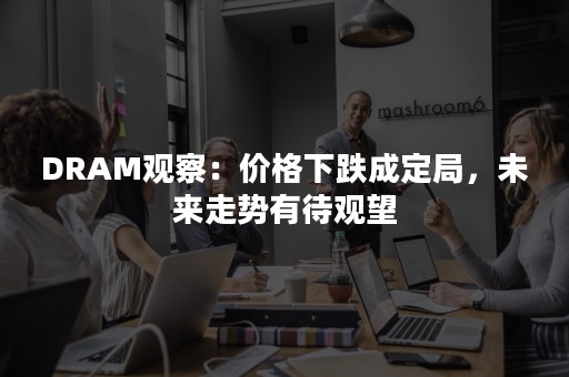 DRAM观察：价格下跌成定局，未来走势有待观望