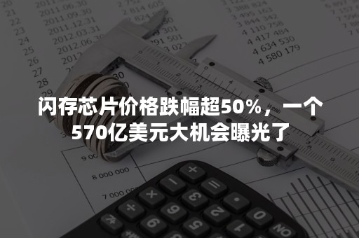 闪存芯片价格跌幅超50%，一个570亿美元大机会曝光了