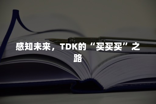 感知未来，TDK的“买买买”之路