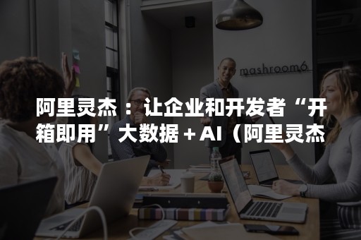 阿里灵杰 ：让企业和开发者“开箱即用”大数据＋AI（阿里灵杰有人用吗）