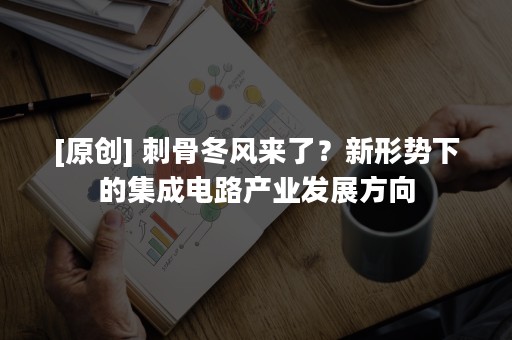 [原创] 刺骨冬风来了？新形势下的集成电路产业发展方向