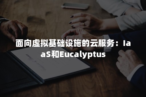 面向虚拟基础设施的云服务：IaaS和Eucalyptus