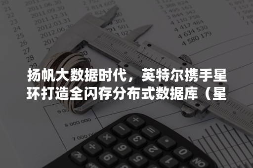 扬帆大数据时代，英特尔携手星环打造全闪存分布式数据库（星环科技大数据）