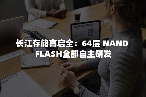 长江存储高启全：64层 NAND FLASH全部自主研发