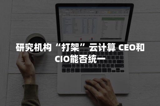 研究机构“打架”云计算 CEO和CIO能否统一