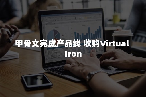 甲骨文完成产品线 收购Virtual Iron