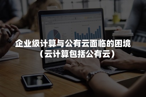 企业级计算与公有云面临的困境（云计算包括公有云）