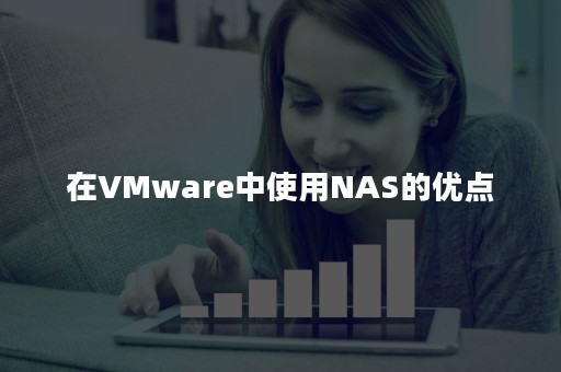 在VMware中使用NAS的优点