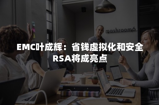 EMC叶成辉：省钱虚拟化和安全RSA将成亮点