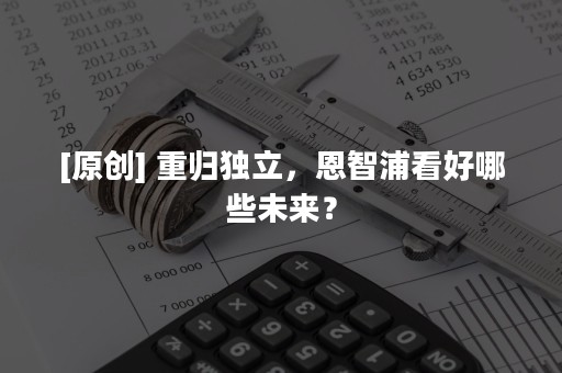 [原创] 重归独立，恩智浦看好哪些未来？