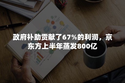 政府补助贡献了67%的利润，京东方上半年蒸发800亿