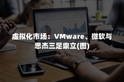 虚拟化市场：VMware、微软与思杰三足鼎立(图)