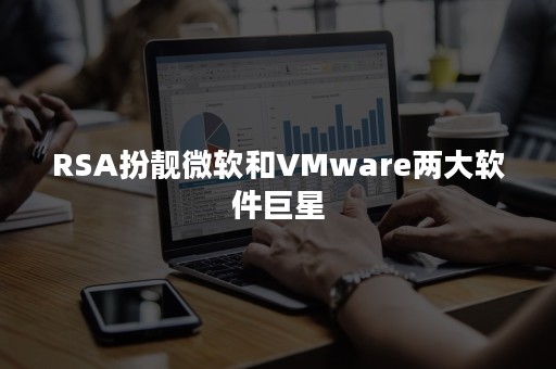 RSA扮靓微软和VMware两大软件巨星