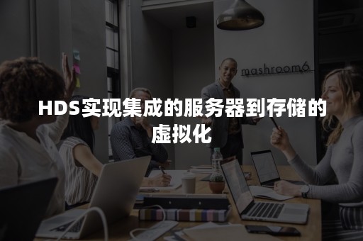 HDS实现集成的服务器到存储的虚拟化