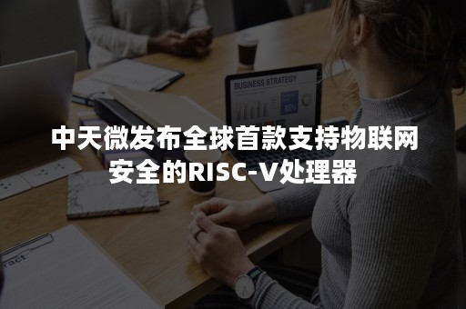 中天微发布全球首款支持物联网安全的RISC-V处理器