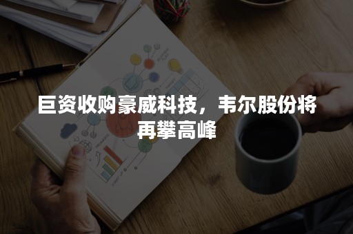 巨资收购豪威科技，韦尔股份将再攀高峰