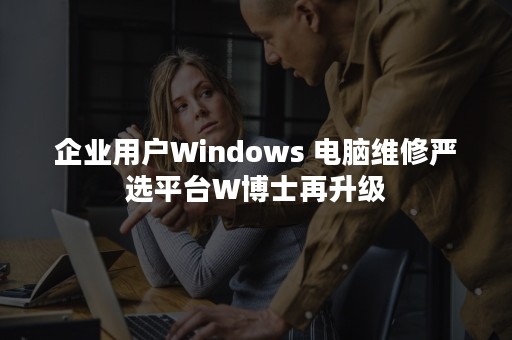 企业用户Windows 电脑维修严选平台W博士再升级