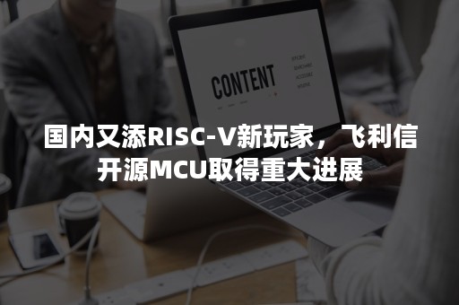 国内又添RISC-V新玩家，飞利信开源MCU取得重大进展