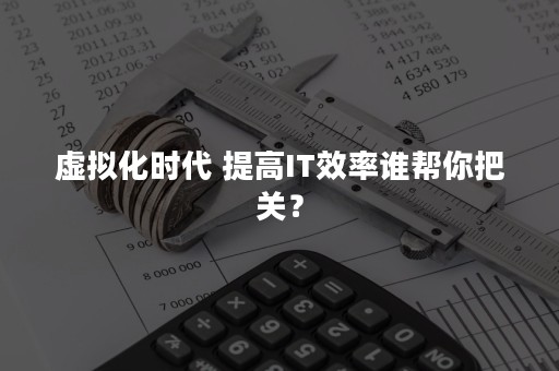 虚拟化时代 提高IT效率谁帮你把关？