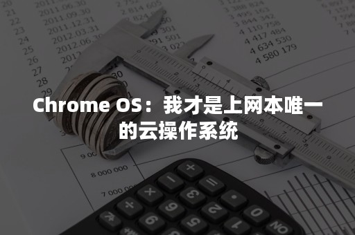 Chrome OS：我才是上网本唯一的云操作系统