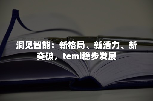 洞见智能：新格局、新活力、新突破，temi稳步发展