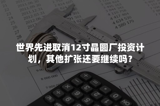 世界先进取消12寸晶圆厂投资计划，其他扩张还要继续吗？