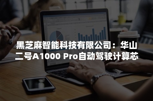 黑芝麻智能科技有限公司：华山二号A1000 Pro自动驾驶计算芯片再获两项大奖