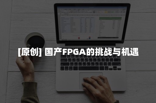 [原创] 国产FPGA的挑战与机遇