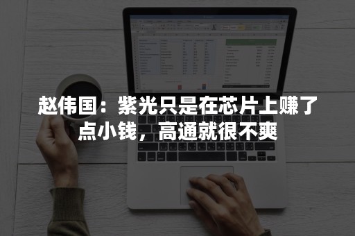 赵伟国：紫光只是在芯片上赚了点小钱，高通就很不爽