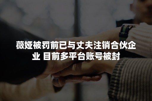 薇娅被罚前已与丈夫注销合伙企业 目前多平台账号被封