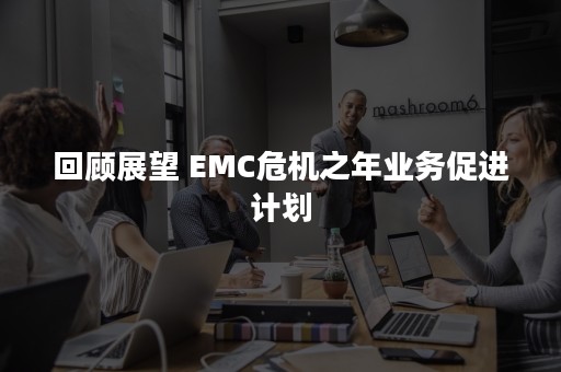 回顾展望 EMC危机之年业务促进计划