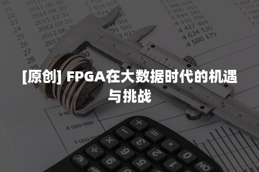 [原创] FPGA在大数据时代的机遇与挑战