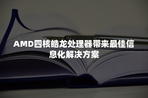 AMD四核皓龙处理器带来最佳信息化解决方案