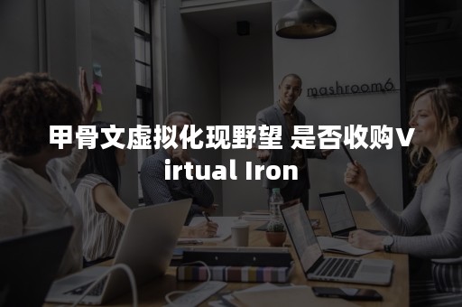 甲骨文虚拟化现野望 是否收购Virtual Iron